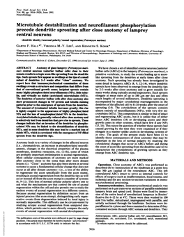 Microtubule Destabilization and Neurofilament Phosphorylation