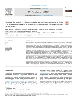 Assessing the Natural Circulation of Canine Vector-Borne Pathogens In