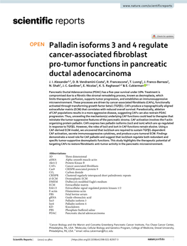 Palladin Isoforms 3 and 4 Regulate Cancer-Associated Fibroblast Pro
