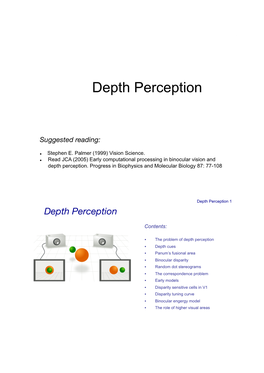 Depth Perception 0