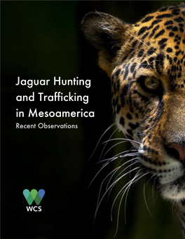 WCS Report Jaguar Trafficking Mesoamerica ENG Final Layout LM