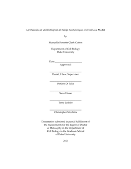 Mechanisms of Chemotropism in Fungi: Saccharomyces Cerevisiae As a Model