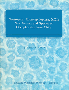 Neotropical Microlepidoptera, XXI: New Genera and Species of Oecophoridae from Chile