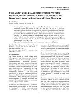 Freshwater Silica-Scaled Heterotrophic Protista: Heliozoa, Thaumatomonad Flagellates, Amoebae, and Bicosoecids, from the Lake Itasca Region, Minnesota