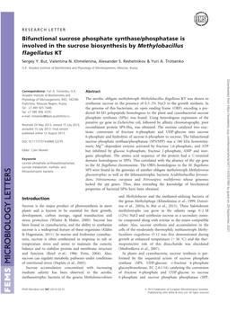 Bifunctional Sucrose Phosphate Synthasephosphatase Is Involved In