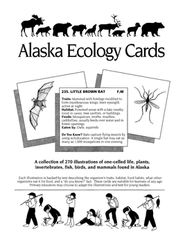 Alaska Ecology Cards