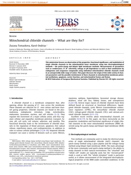 Mitochondrial Chloride Channels – What Are They For?