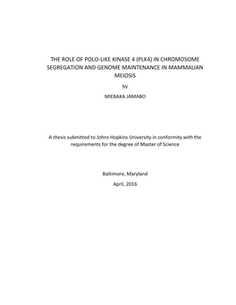 PLK4) in CHROMOSOME SEGREGATION and GENOME MAINTENANCE in MAMMALIAN MEIOSIS by MIEBAKA JAMABO