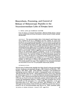 Biosynthesis, Processing, and Control of Release of Melanotropic Peptides in the Neurointermediate Lobe of Xenopus Laevis