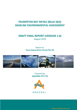 TRUMPETER BAY MF261 (Block SB3): BASELINE ENVIRONMENTAL ASSESSMENT