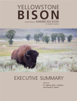 Yellowstone Bison EXECUTIVE SUMMARY