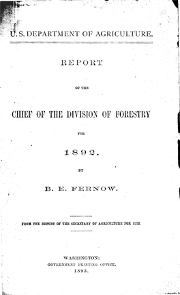 Report B. E. Fernow