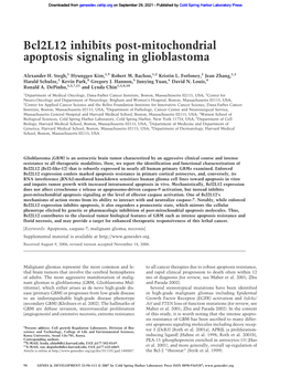 Bcl2l12 Inhibits Post-Mitochondrial Apoptosis Signaling in Glioblastoma