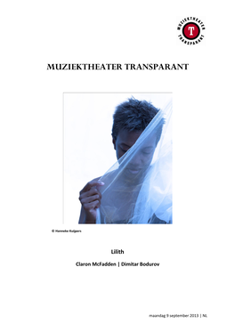 Muziektheater Transparant