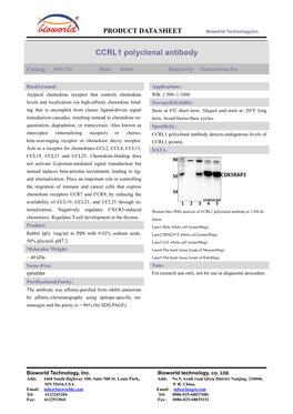 CCRL1 Polyclonal Antibody