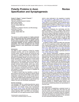 Review Polarity Proteins in Axon Specification and Synaptogenesis