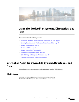 Using the Device File Systems, Directories, and Files