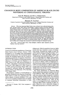 Changes in Body Composition of American Black Ducks Wintering at Chincoteague, Virginia ’