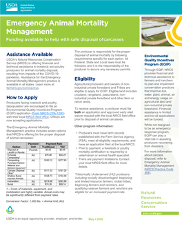 Emergency Animal Mortality Management Funding Available to Help with Safe Disposal of Carcasses