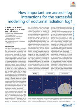 How Important Are Aerosol–Fog Interactions for the Successful Modelling of Nocturnal Radiation Fog?