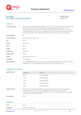 Anti-TPBG / 5T4 Antibody [B3F1] (ARG10851)