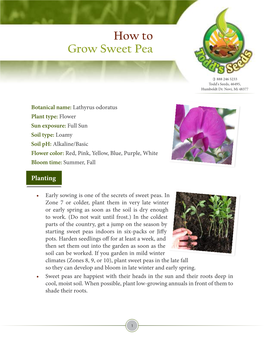 How to Grow Sweet Pea