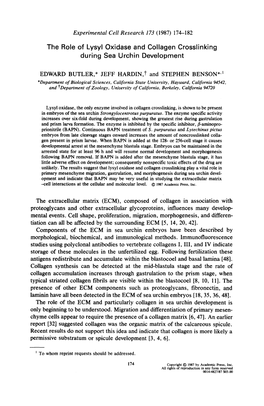 The Role of Lysyl Oxidase and Collagen Crosslinking During Sea Urchin Development