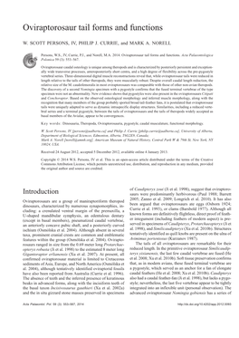 Oviraptorosaur Tail Forms and Functions
