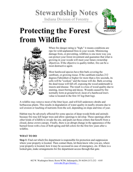 Protecting the Forest from Wildfire