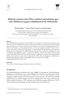 And Melanistic Grey Seals (Halichoerus Grypus ) Rehabilitated in the Netherlands