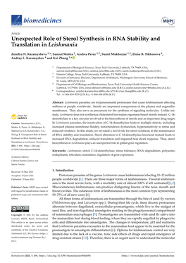 Unexpected Role of Sterol Synthesis in RNA Stability and Translation in Leishmania