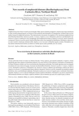 New Records of Amphoroid Diatoms (Bacillariophyceae) from Cachoeira River, Northeast Brazil Cavalcante, KP.*, Tremarin, PI