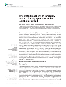 Integrated Plasticity at Inhibitory and Excitatory Synapses in the Cerebellar Circuit