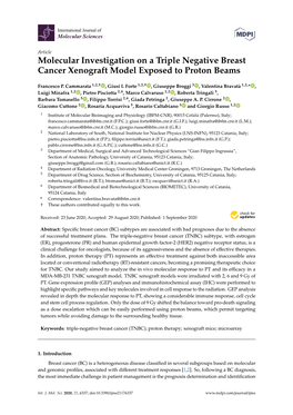 Molecular Investigation on a Triple Negative Breast Cancer Xenograft Model Exposed to Proton Beams