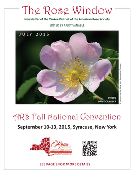 The Rose Window Newsletter of the Yankee District of the American Rose Society Edited by Andy Vanable