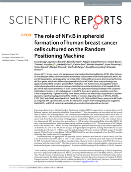 The Role of Nfκb in Spheroid Formation of Human Breast Cancer Cells