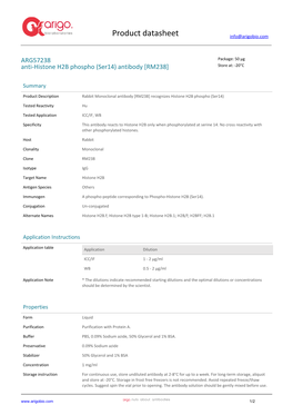 Anti-Histone H2B Phospho (Ser14) Antibody [RM238] (ARG57238)