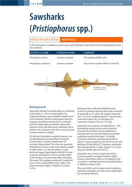 Sawsharks (Pristiophorus Spp.)