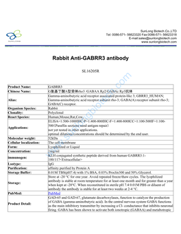 Rabbit Anti-GABRR3 Antibody-SL16205R