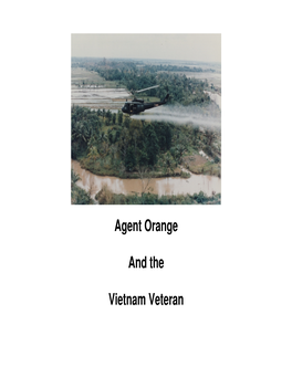 Agent Orange and the Vietnam Veteran
