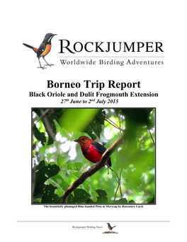 Borneo Trip Report Black Oriole and Dulit Frogmouth Extension Th Nd 27 June to 2 July 2015