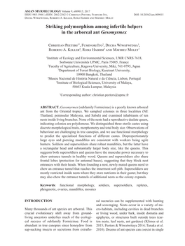 Striking Polymorphism Among Infertile Helpers in the Arboreal Ant Gesomyrmex