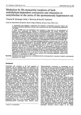 Endothelium-Dependent Contraction and Relaxation to Acetylcholine in the Aorta of the Spontaneously Hypertensive Rat 'Chantal M