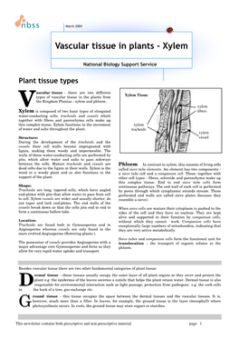 Vascular Tissue in Plants - Xylem