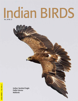 Indian Spotted Eagle Pallid Harrier Mallards | Vol