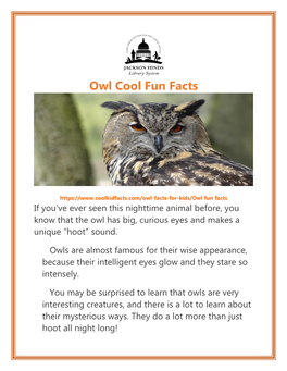 Owl Cool Fun Facts