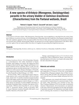 Parasitic in the Urinary Bladder of Salminus Brasiliensis (Characiformes) from the Pantanal Wetlands, Brazil