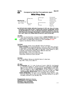 64 Consigned by Calle Real Thoroughbreds, Agent Wild Play Day