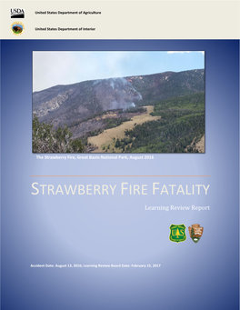 STRAWBERRY FIRE FATALITY Learning Review Report