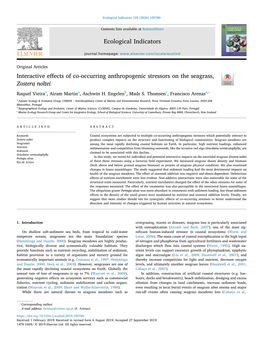 Interactive Effects of Co-Occurring Anthropogenic Stressors on the Seagrass, Zostera Noltei